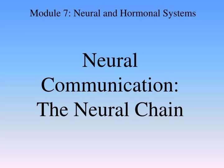 neural communication the neural chain