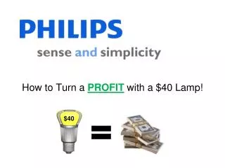 How to Turn a PROFIT with a $40 Lamp!