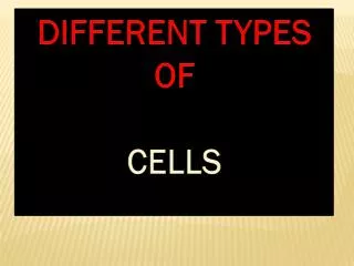 DIFFERENT TYPES OF CELLS