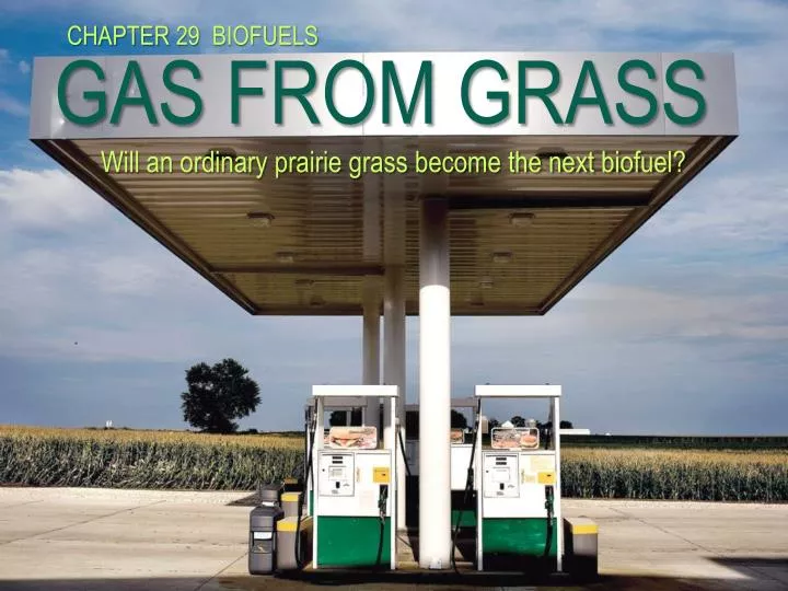 gas from grass will an ordinary prairie grass become the next biofuel