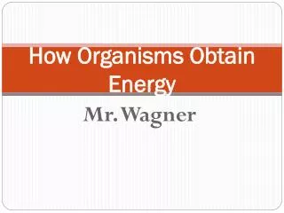 How Organisms Obtain Energy