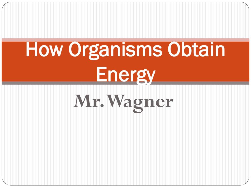 PPT - How Organisms Obtain Energy PowerPoint Presentation, free ...