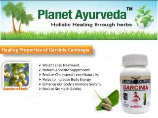 Weight Loss Treatment. Natural Appetite Suppressant. Reduce Cholesterol Level Naturally. Helps to Increase Body Energ