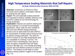 High Temperature Sealing Materials that Self Repairs Raj Singh, Oklahoma State University, DMR 1227789