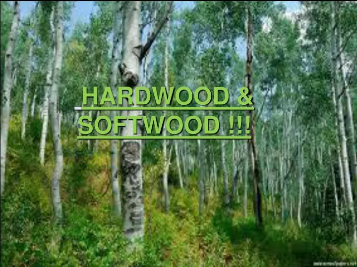 hardwood softwood hardwood softwood