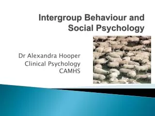 Intergroup Behaviour and Social Psychology