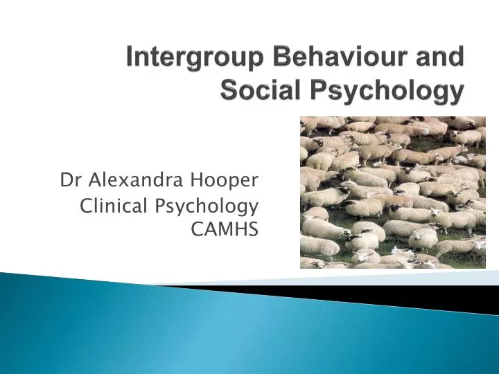 intergroup behaviour and social psychology