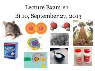 Lecture Exam #1