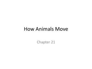 How Animals Move