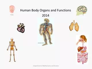 Human Body Organs and Functions 2014