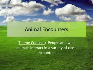 Animal Encounters