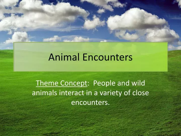 animal encounters