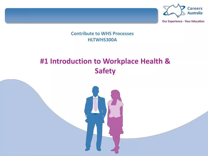 contribute to whs processes hltwhs300a