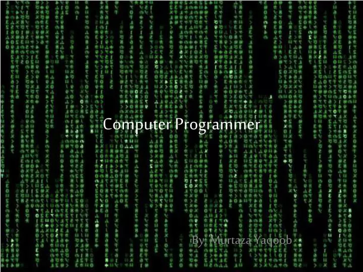 computer programmer