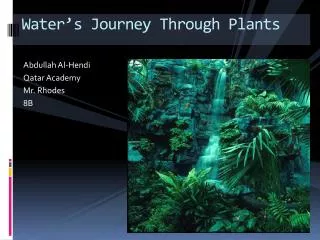 Water’s Journey Through Plants