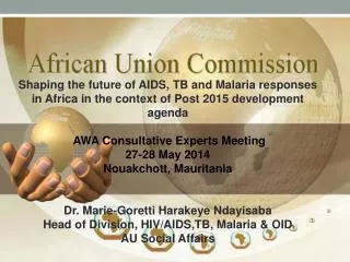 Shaping the future of AIDS, TB and Malaria responses in Africa in the context of Post 2015 development agenda AWA Consu