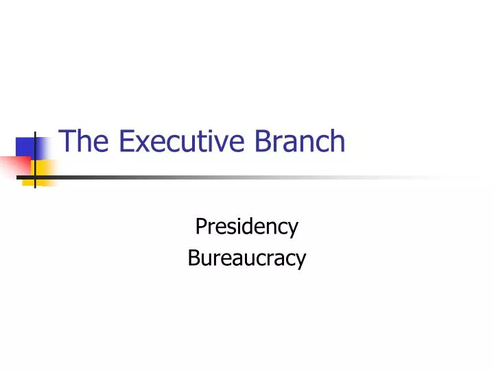 the executive branch