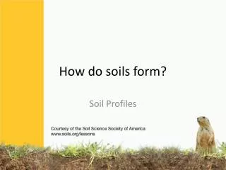 How do soils form?