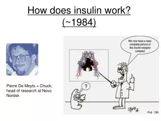 How does insulin work? (~1984)