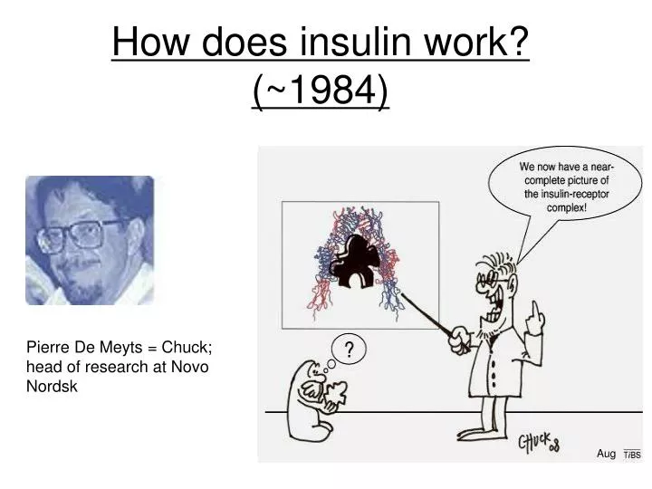 how does insulin work 1984