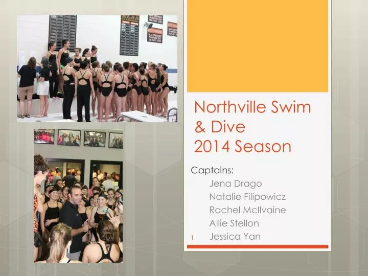northville swim dive 2014 season