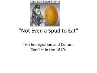 “Not Even a Spud to Eat”