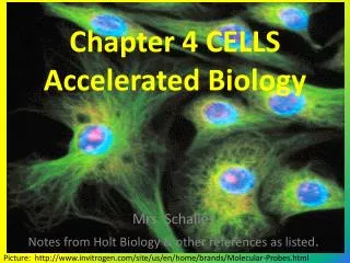 Chapter 4 CELLS Accelerated Biology