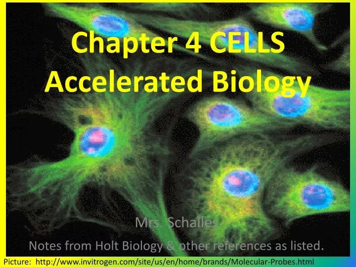 chapter 4 cells accelerated biology
