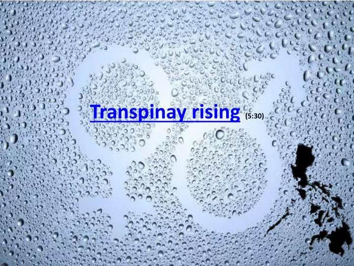 transpinay rising 5 30