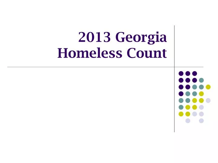 2013 georgia homeless count