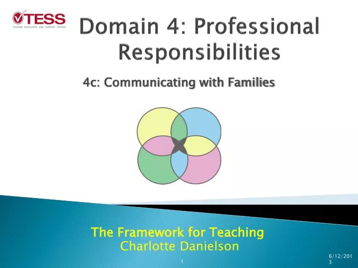 domain 4 professional responsibilities