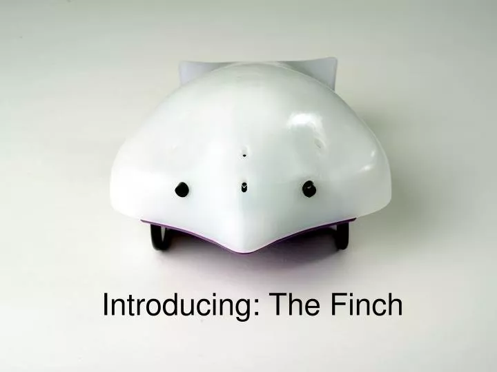 introducing the finch