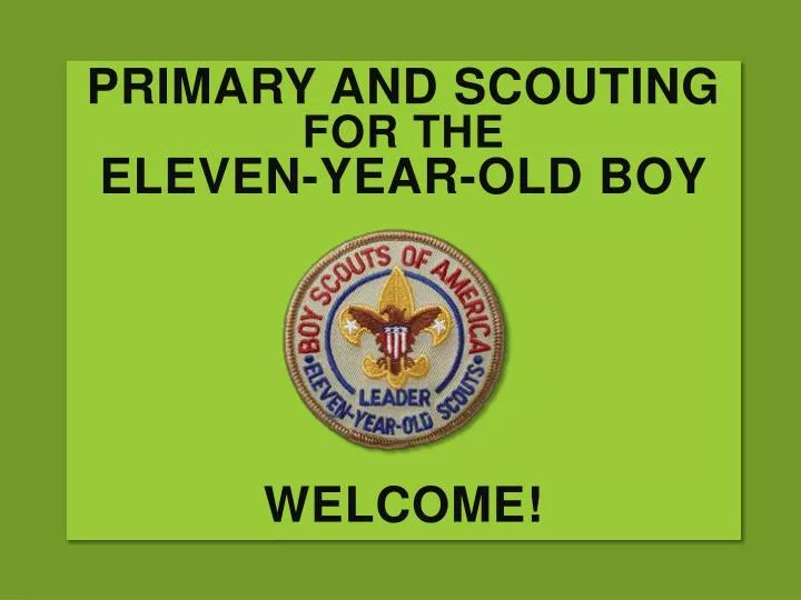 primary and scouting for the eleven year old boy welcome