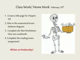 Class Work/ Home Work February 16 th
