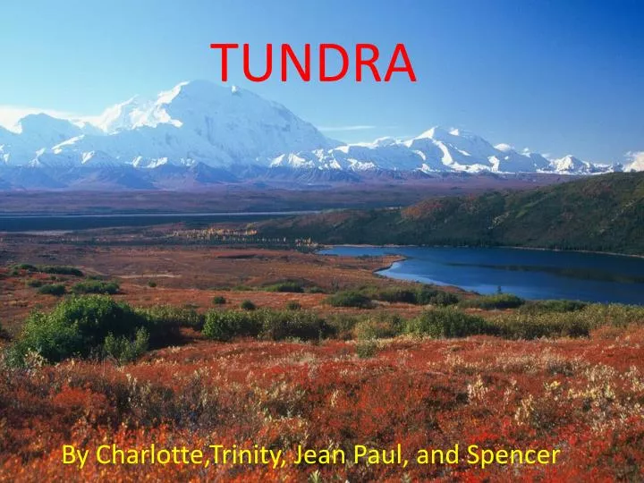 tundra