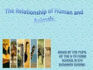 The Relationship of Human and Animals.