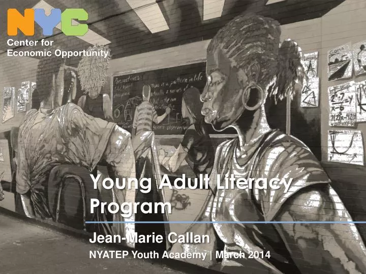young adult literacy program