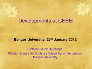 Developments at CEBEI