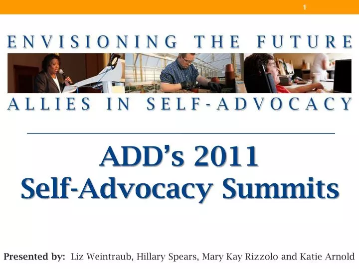 add s 2011 self advocacy summits