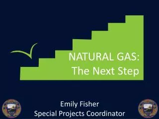 NATURAL GAS: The Next Step