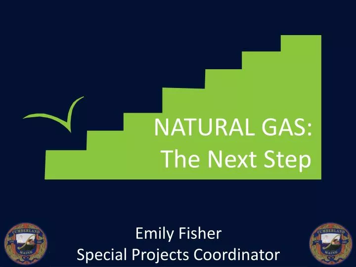 natural gas the next step