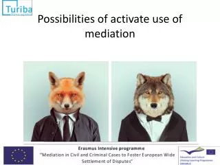 Possibilities of activate use of mediation