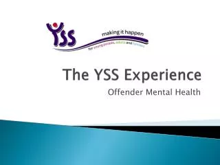 The YSS Experience