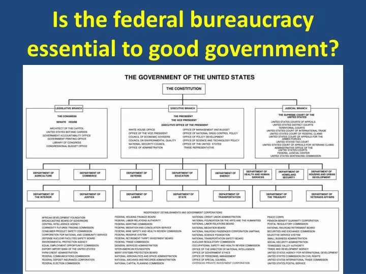 is the federal bureaucracy essential to good government