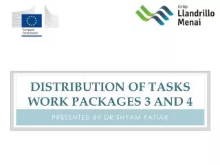 Distribution of tasks work packages 3 and 4