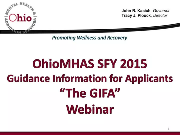 o hiomhas sfy 2015 guidance information for applicants the gifa webinar