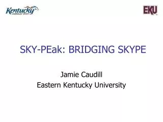 SKY- PE ak : Bridging Skype