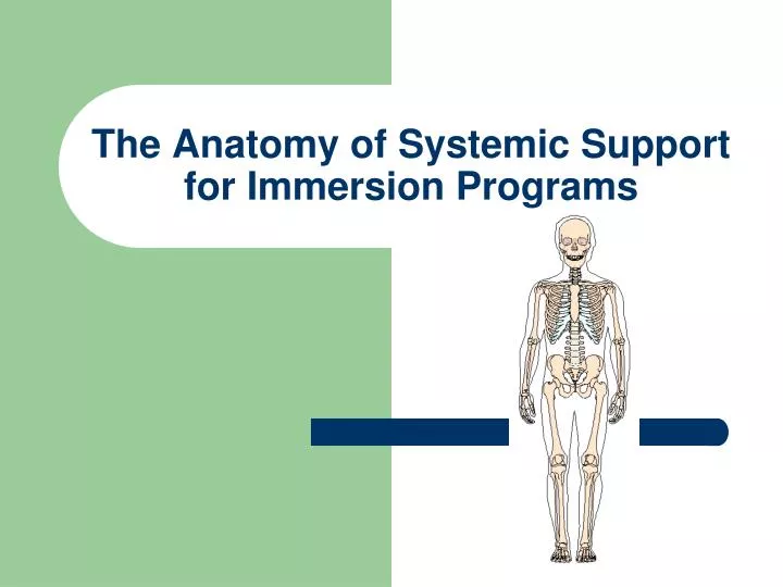 the anatomy of systemic support for immersion programs