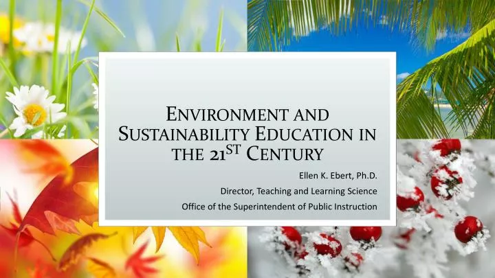 environment and sustainability education in the 21 st century