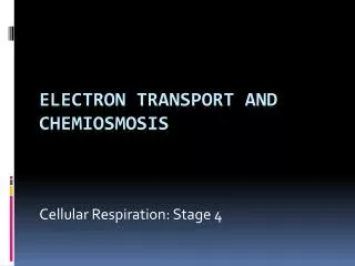 Electron transport and chemiosmosis